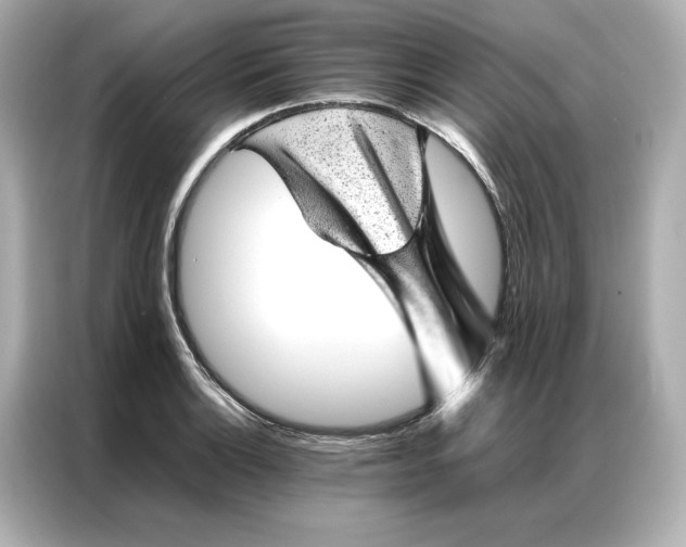 X0000086971132200704301252