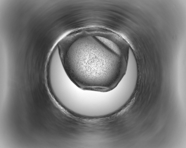 X0000086971134200704301252