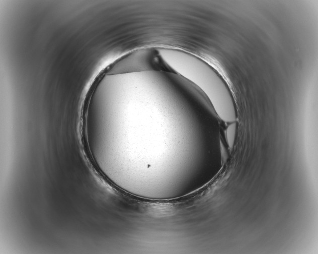 X0000086971136200704301252