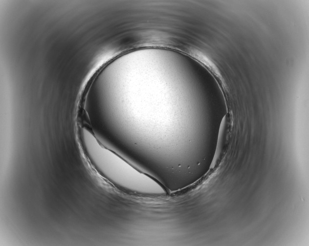 X0000086971138200704301252