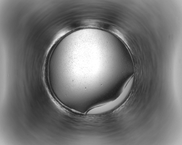 X0000086971139200704301252