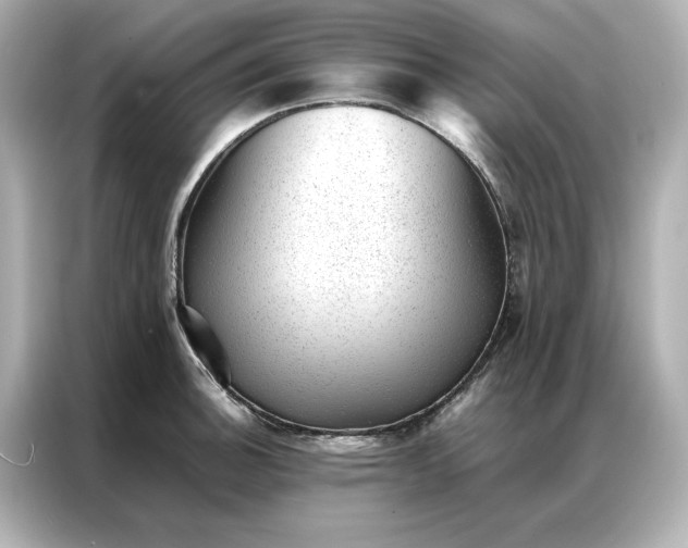 X0000086971140200704301252