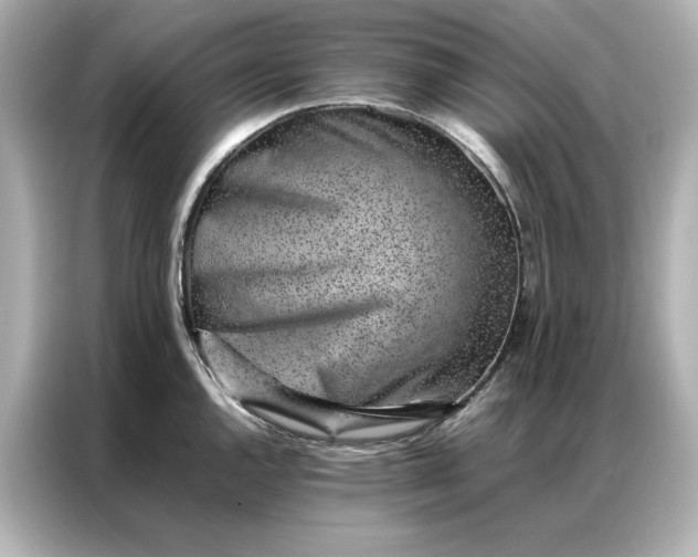 X0000086971144200704301252