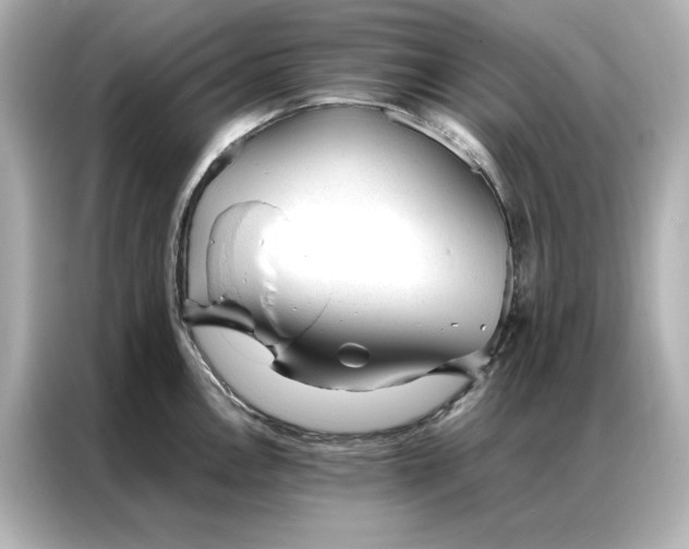 X0000086971146200704301252