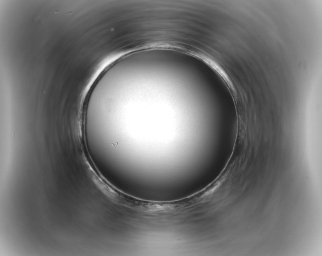 X0000086971148200704301252