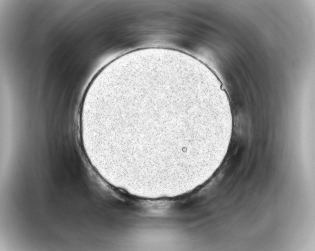 X0000086971150200704301252