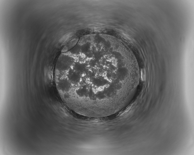 X0000086971155200704301252