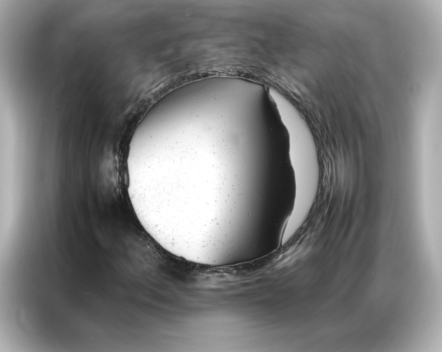 X0000086971156200704301252