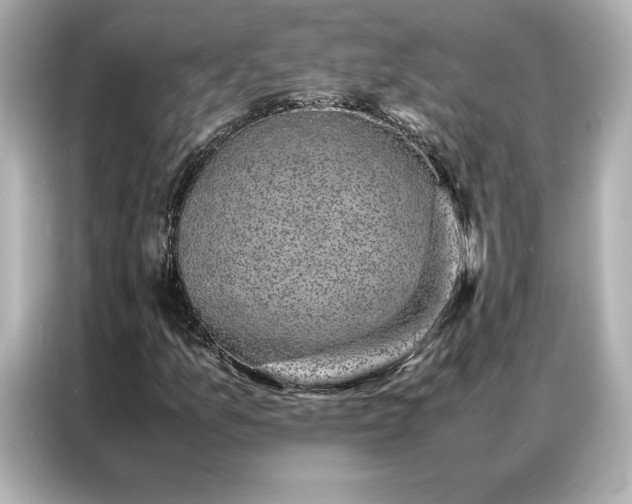 X0000086971157200704301252