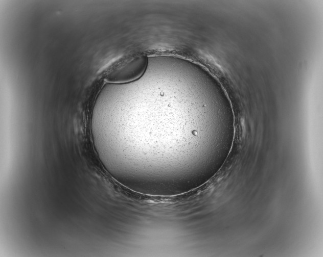 X0000086971158200704301252