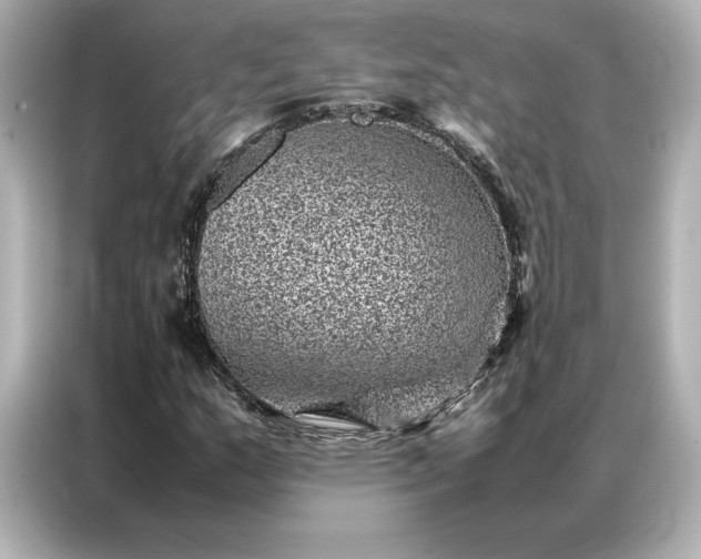 X0000086971159200704301252