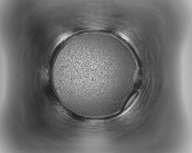 X0000086971163200704301252