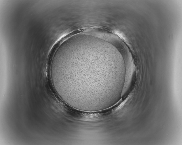 X0000086971165200704301252