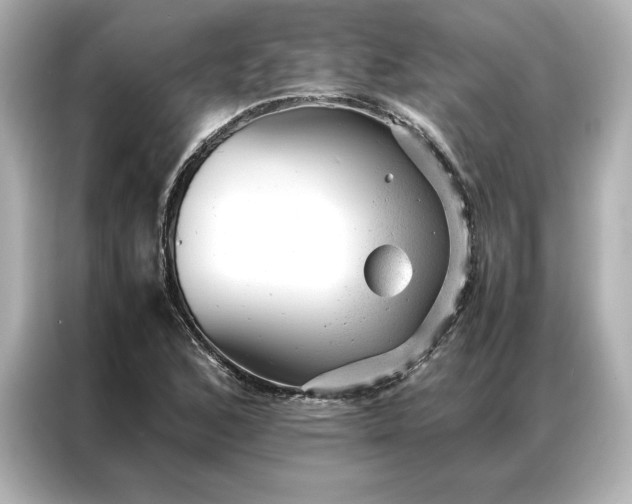 X0000086971168200704301252