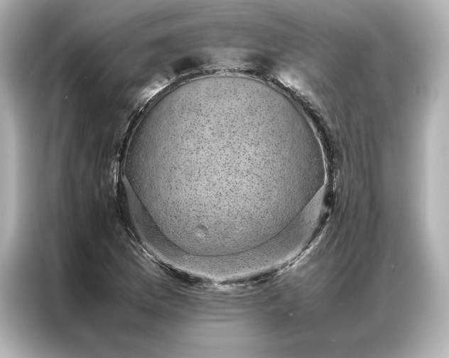 X0000086971169200704301252