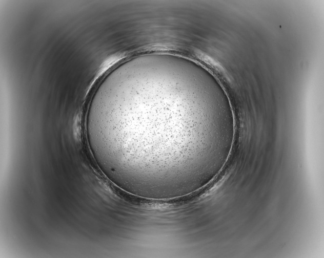 X0000086971170200704301252