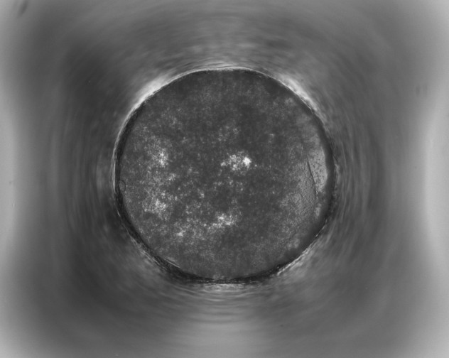 X0000086971173200704301251