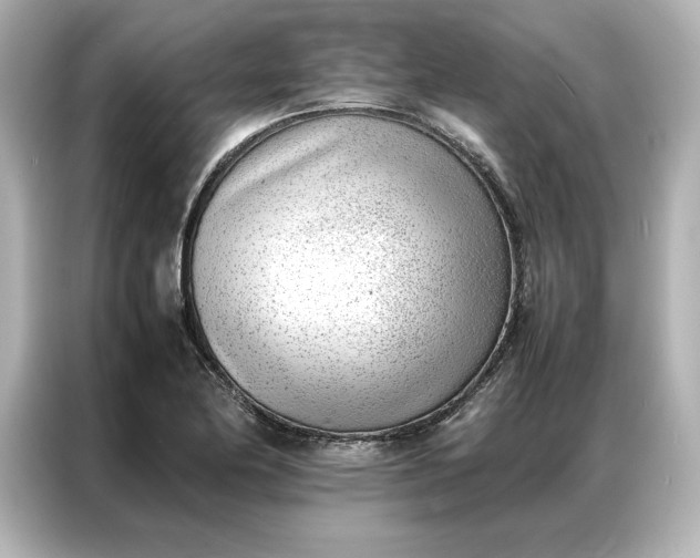 X0000086971174200704301251