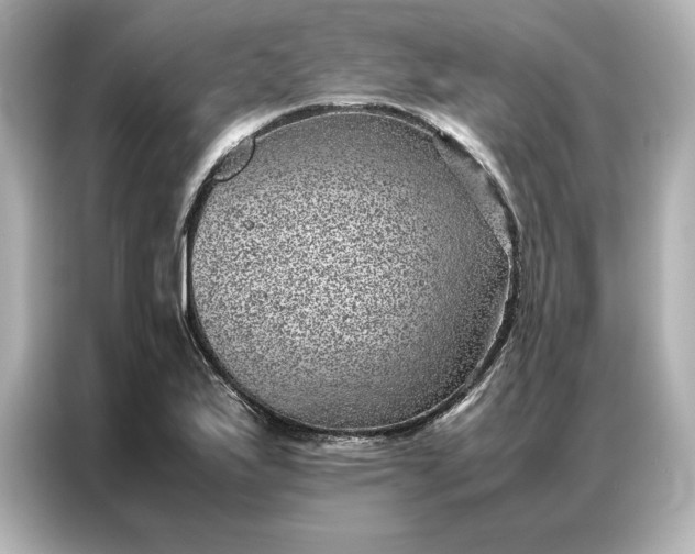 X0000086971175200704301251