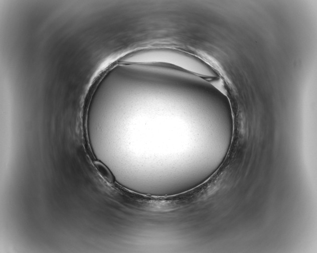 X0000086971176200704301251