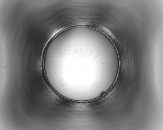 X0000086971178200704301251