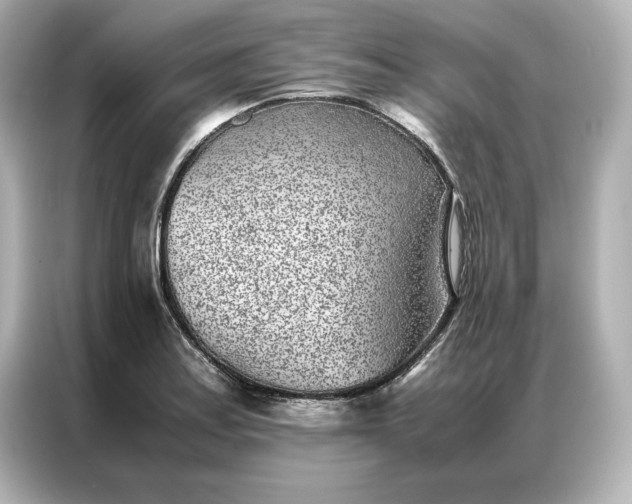 X0000086971179200704301251