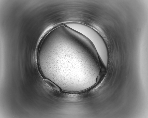 X0000086971180200704301251