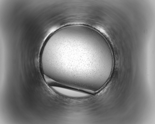 X0000086971181200704301251