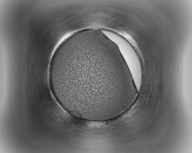 X0000086971183200704301251