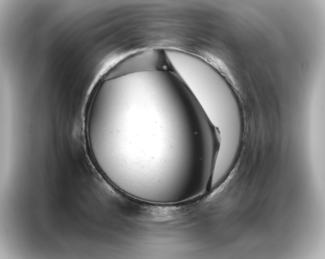 X0000086971184200704301251