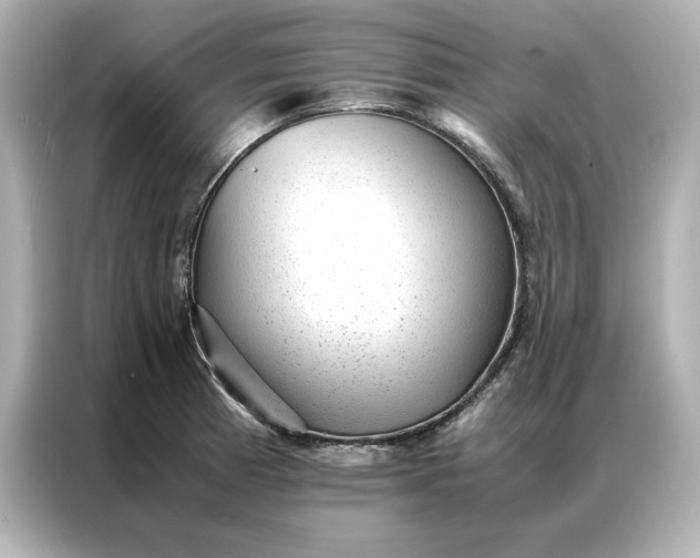 X0000086971185200704301251