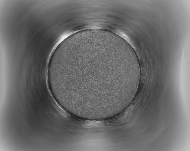 X0000086971187200704301251