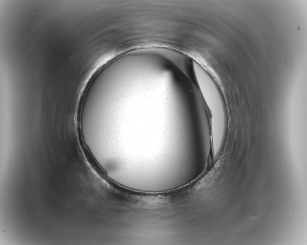 X0000086971189200704301251