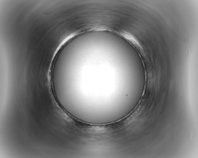 X0000086971190200704301251