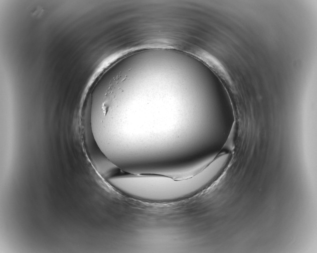 X0000086971192200704301251