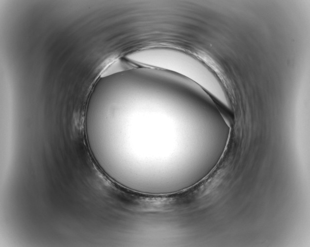 X0000086971193200704301251