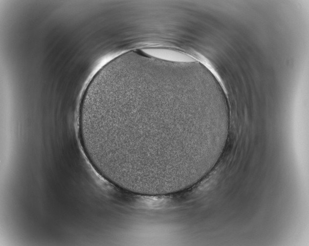 X0000086971195200704301251