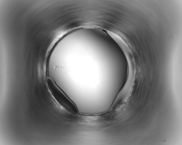 X0000086971196200704301251