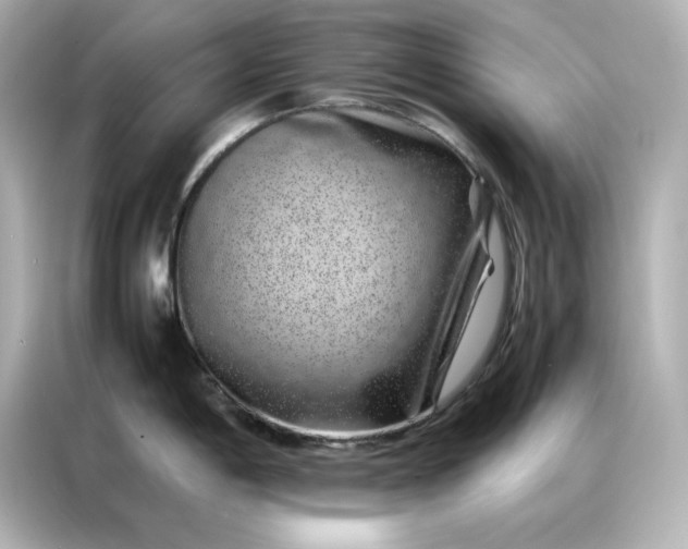 X0000086971198200704301251