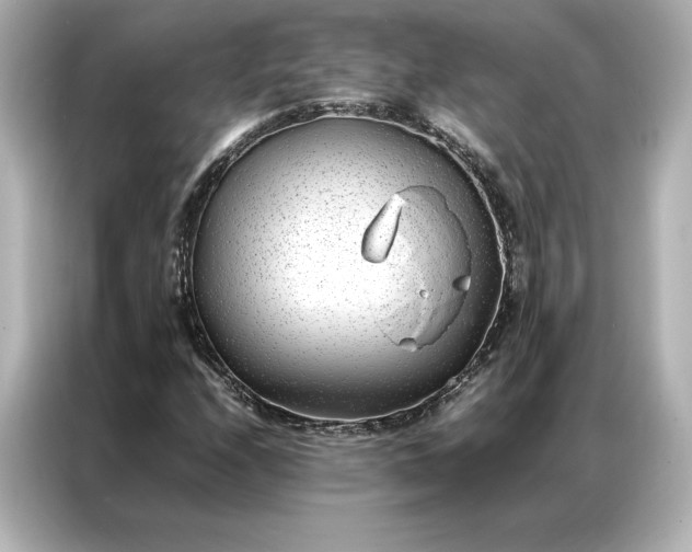 X0000086971208200704301251