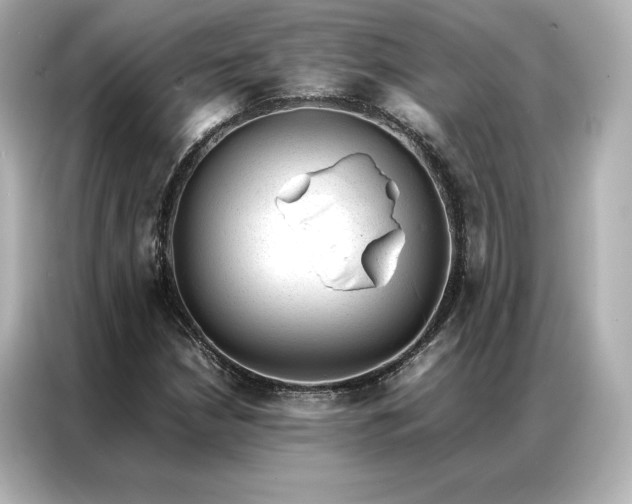 X0000086971210200704301251