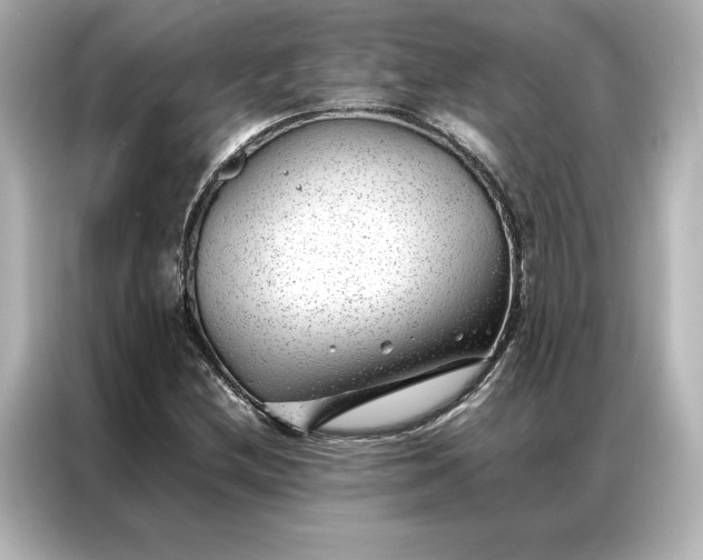 X0000086971212200704301251