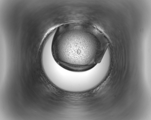 X0000086971214200704301251