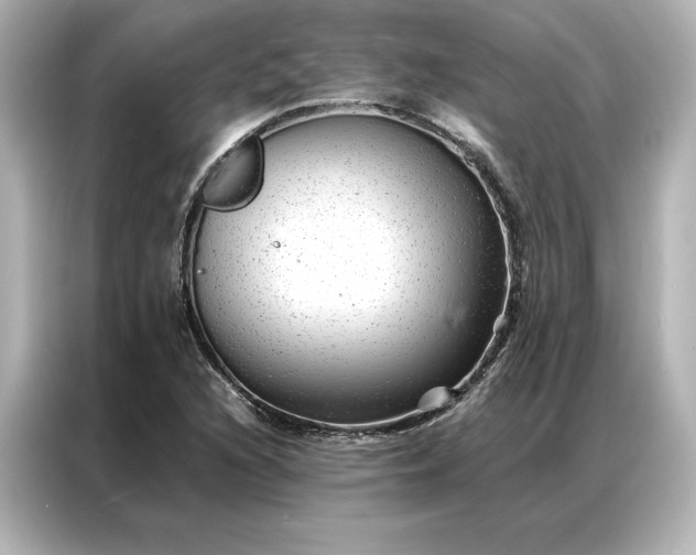 X0000086971216200704301251