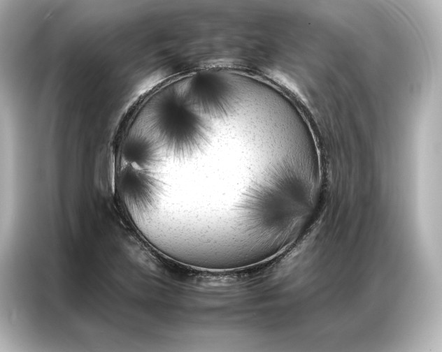 X0000086971219200704301251