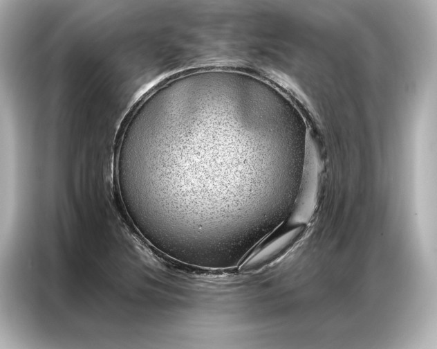 X0000086971220200704301251