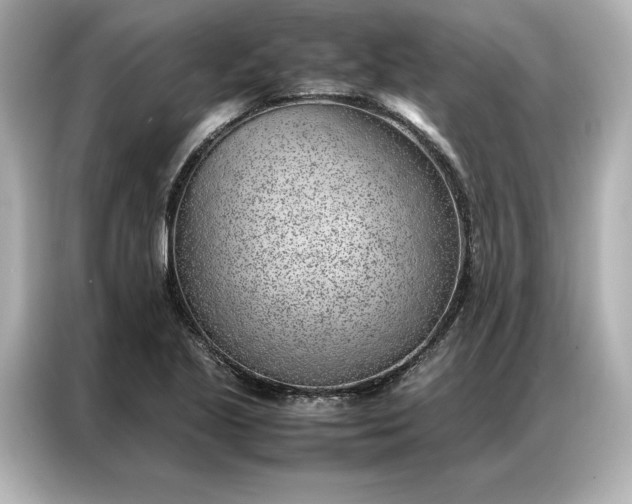 X0000086971221200704301251