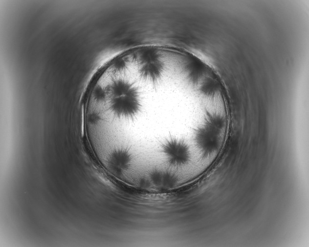 X0000086971223200704301251