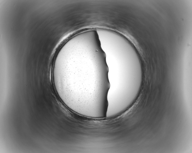 X0000086971224200704301251