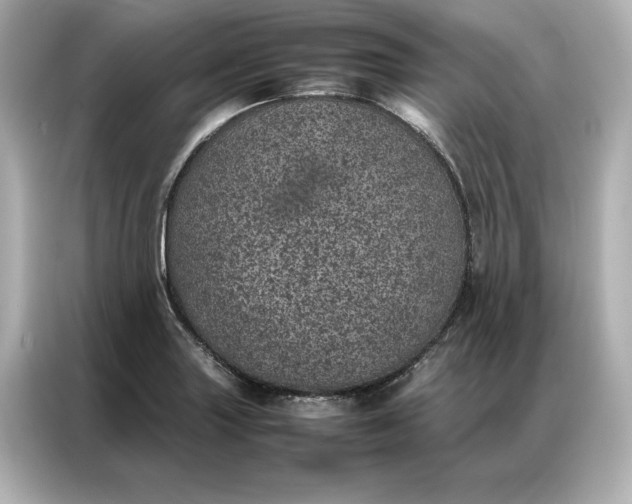 X0000086971227200704301251